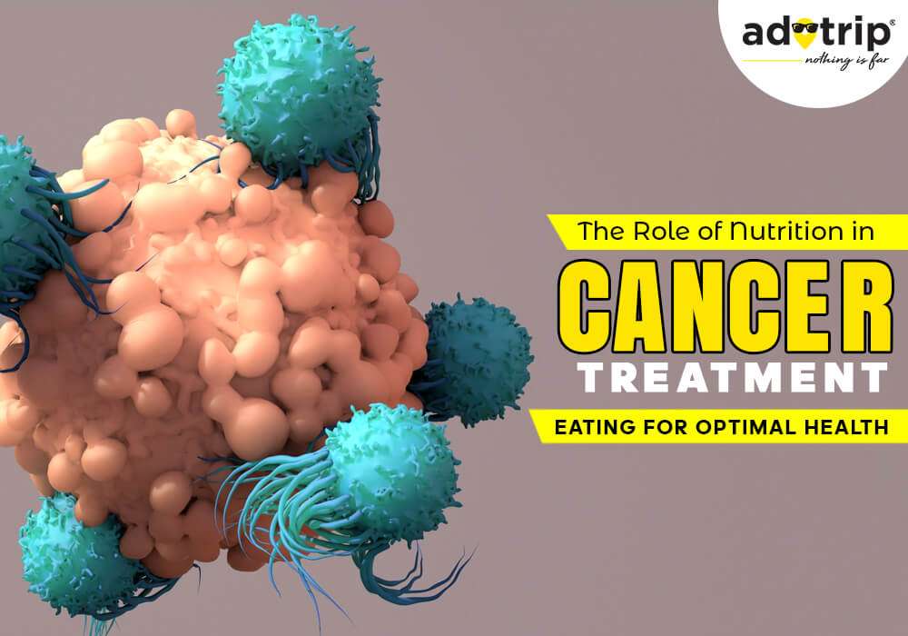 Role of Nutrition in Cancer Treatment